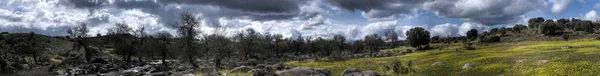 Landscape of the Montes de Toledo. — Stock Photo, Image