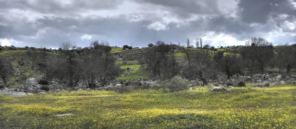 A Montes de Toledo táj. — Stock Fotó