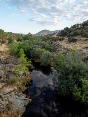 Terk edilmiş tarım arazisi manzarası