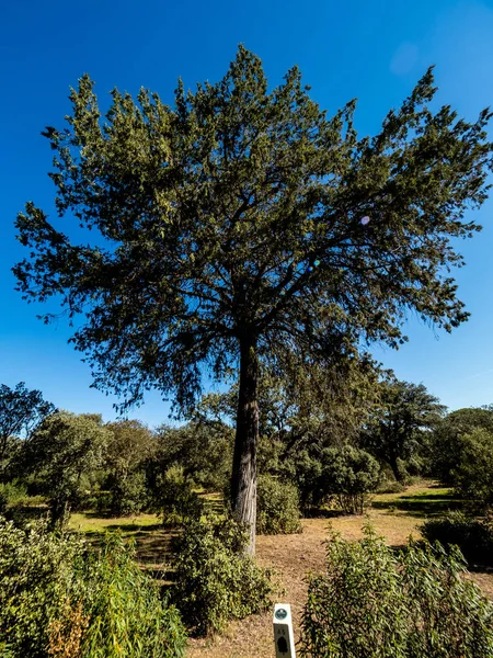 Land landskap — Stockfoto