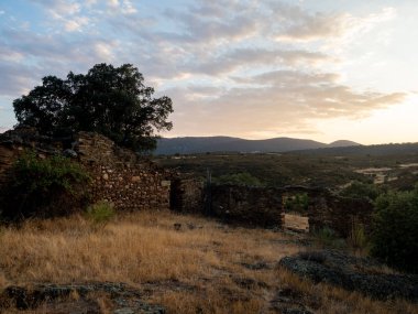Terk edilmiş tarım arazisi manzarası