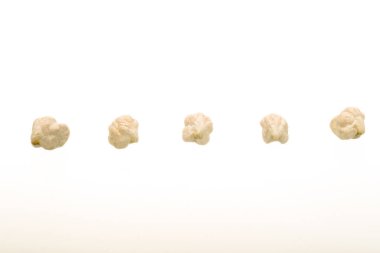 Escacena nohutu.