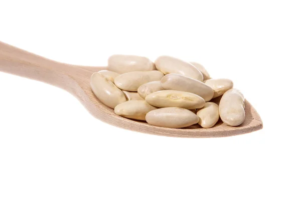 White beans of the Faba Asturiana variety — 스톡 사진