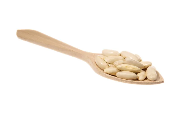 Kacang putih dari berbagai Faba Asturiana — Stok Foto