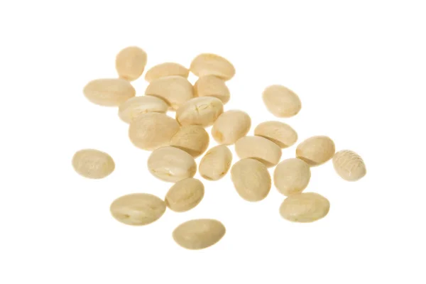 White beans of the Fessol de Santa Pau variety — Stock Photo, Image