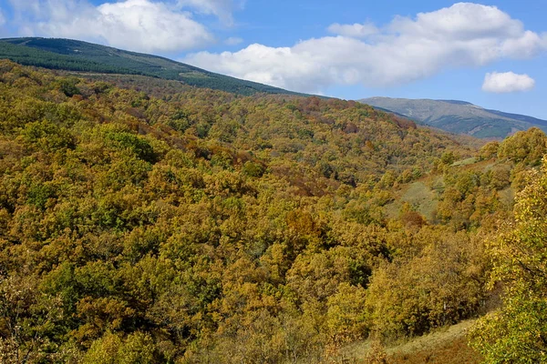 Hayedo de Montejo 'nun doğal parkı.