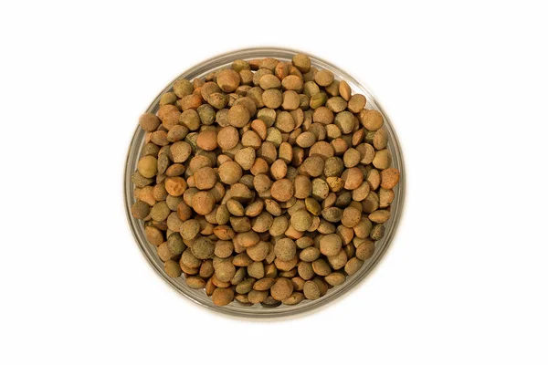 Lentil Pardina, olika baljväxter — Stockfoto