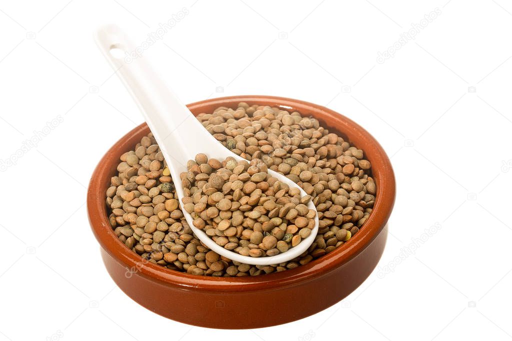 Lentil Pardina, variety of legumes