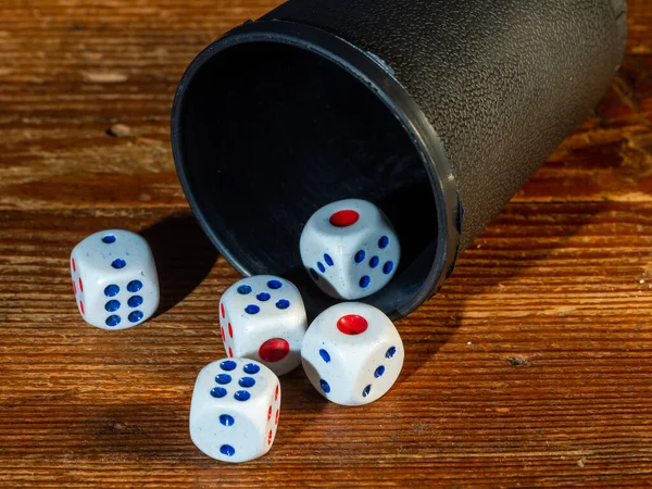 Würfelspiel Gibt Einen Pokermodus Der Mit Würfeln Gespielt Wird — Stockfoto