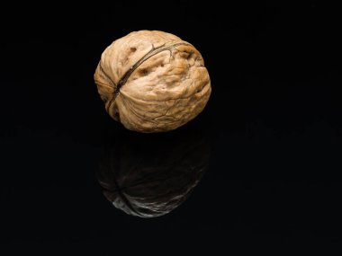 Ceviz, kurutulmuş meyve, çok sert kabuk ve yenilebilir ve ceviz ağacı tarafından üretilen çok yağlı tohum..