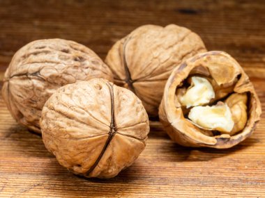 Ceviz, kurutulmuş meyve, çok sert kabuk ve yenilebilir ve ceviz ağacı tarafından üretilen çok yağlı tohum..