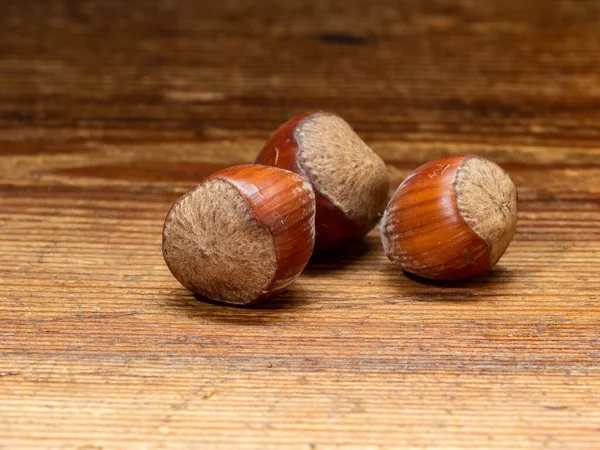 Frutta Guscio Nocciole Semi Commestibili Alto Potere Calorico Molto Grassi — Foto Stock