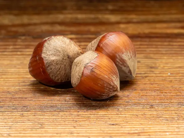 Nüsse Haselnüsse Essbare Samen Mit Hoher Kalorienzahl Und Sehr Fetthaltig — Stockfoto