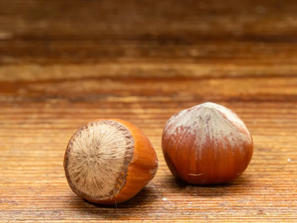 Nüsse Haselnüsse Essbare Samen Mit Hoher Kalorienzahl Und Sehr Fetthaltig — Stockfoto