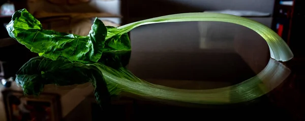 Mangold Mangoldblatt Essbares Gemüse Mit Grünem Blatt Und Weißem Fleischigen — Stockfoto