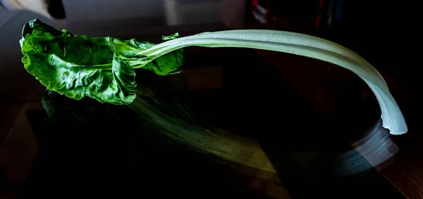 Лист Шарда Лист Шарда Їстівні Овочі Зеленим Листом Білим Ясистим — стокове фото