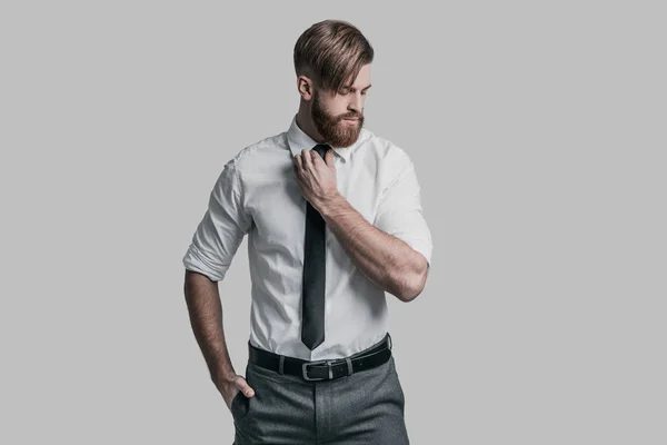 Yakışıklı işadamı ayarlama kravat — Stok fotoğraf