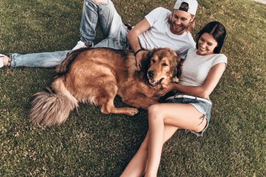 iki köpek ile çim üzerinde yalan