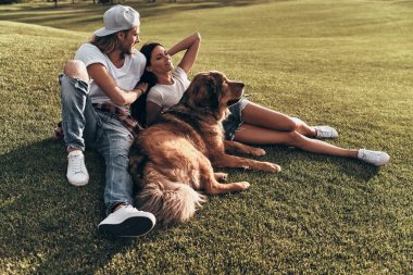 iki köpek ile çim üzerinde yalan