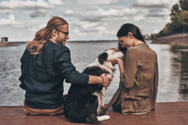犬と美しいカップル — ストック写真