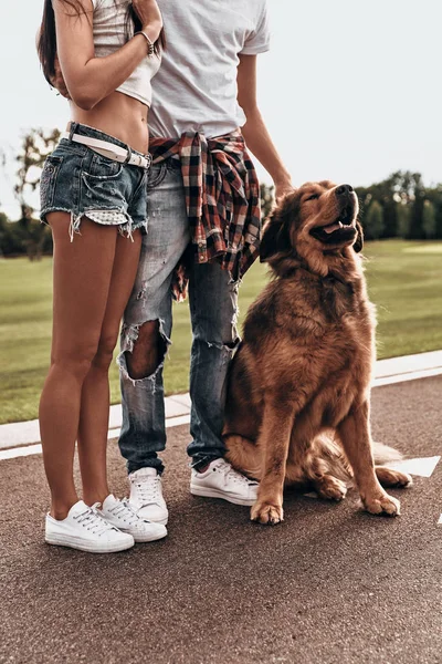 カップルの犬と一緒に立っています。 — ストック写真