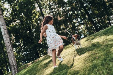 Mutlu kız Beagle köpekle oynamayı