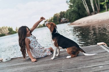 beagle köpek ile küçük oynak kız