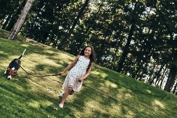 mutlu kız ile Beagle köpek yürüyüş