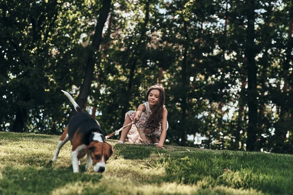 Beagle köpek ile oynayan kız