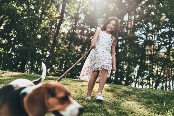 Menina andando com cão beagle — Fotografia de Stock
