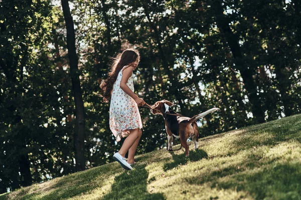 Menina feliz jogando com cão beagle — Fotografia de Stock