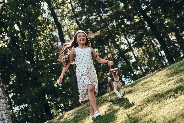 Mutlu kız Beagle köpekle oynamayı — Stok fotoğraf