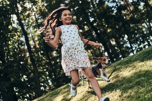 Gadis bahagia bermain dengan anjing beagle — Stok Foto