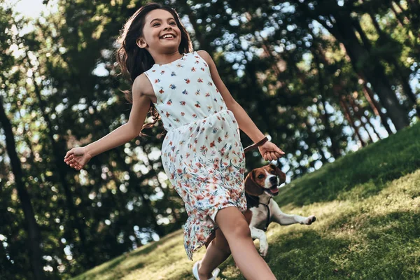 mutlu kız Beagle köpek ile çalışan