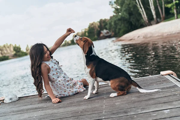 beagle köpek ile küçük oynak kız