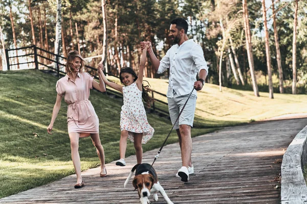 Girl with mother, father and beagle — Stock Photo, Image