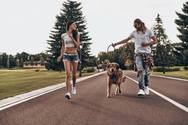 büyük köpek çalışan aşık Çift