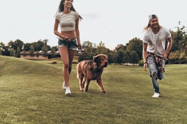 büyük köpek çalışan aşık Çift