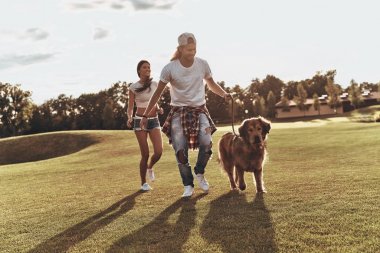 büyük köpek çalışan aşık Çift