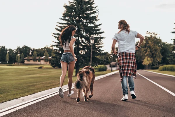 Пара закохана у великого собаку біжить — стокове фото