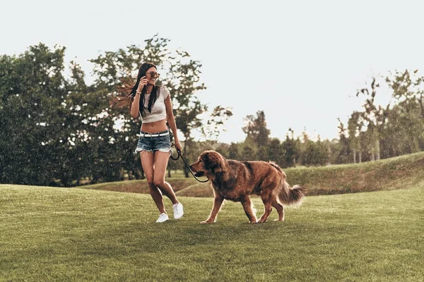 大きな犬と遊ぶ女性 — ストック写真