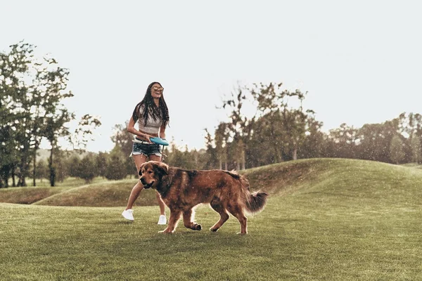 Mujer jugando con gran perro y frisbee — Foto de Stock