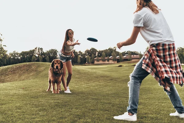 Freesby oynayan büyük köpek ile Çift — Stok fotoğraf