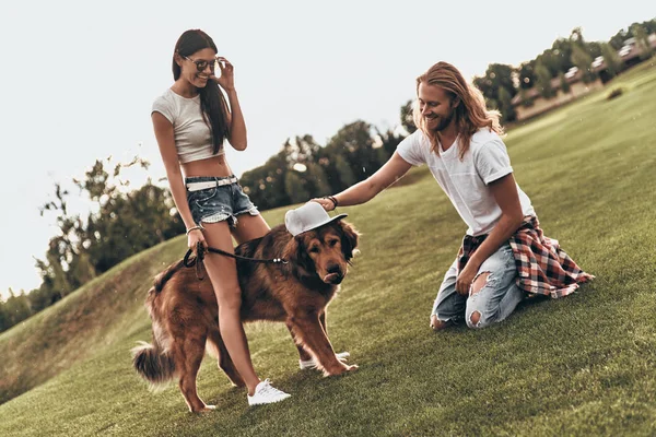 Casal se divertindo com cachorro grande — Fotografia de Stock