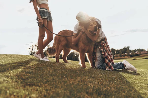 Casal com cão grande relaxante — Fotografia de Stock