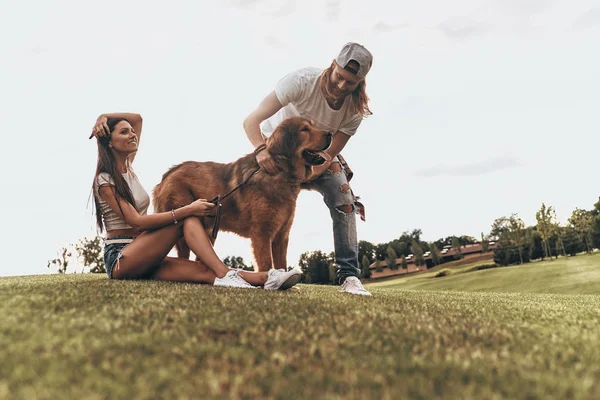 Büyük köpek rahatlatıcı ile Çift — Stok fotoğraf