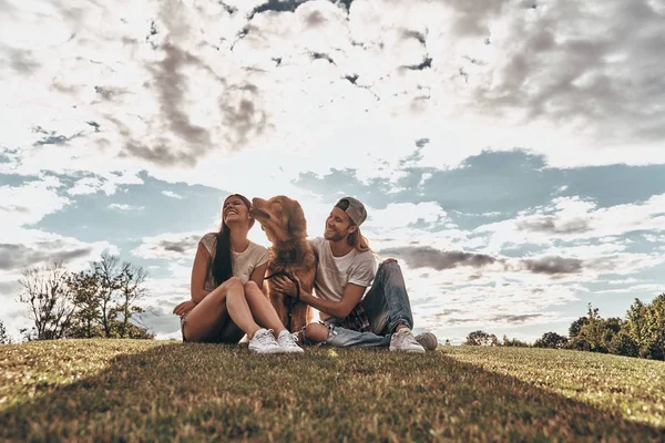 Couple assis avec grand chien — Photo