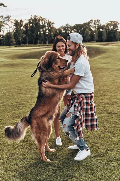 カップルの大きな犬と遊ぶこと — ストック写真