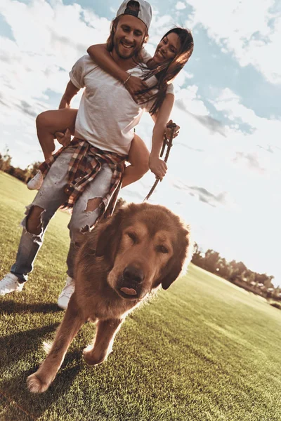 Pareja enamorada de gran perro — Foto de Stock