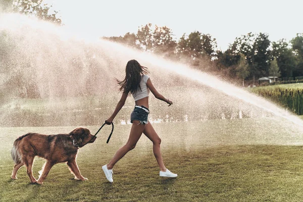 大きな犬と遊ぶ女性 — ストック写真
